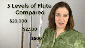 3 Levels of Flute Compared Professional vs Beginner and Intermediate