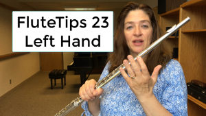 FluteTips 23 Left Hand