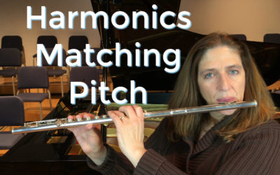 Harmonics Matching Pitch Exercise