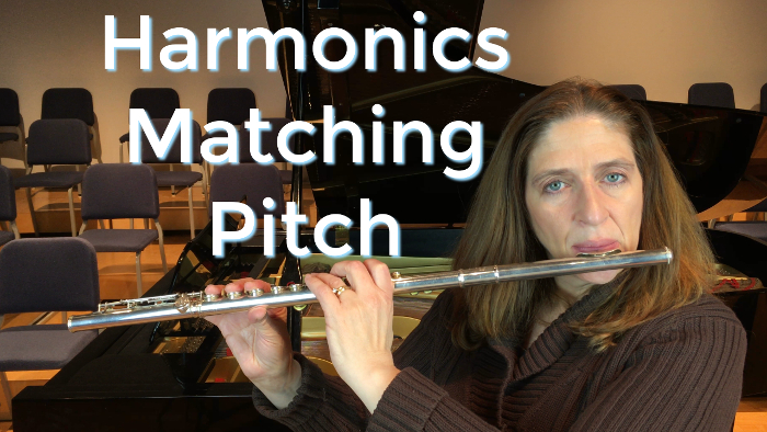 Harmonics Matching Pitch Exercise